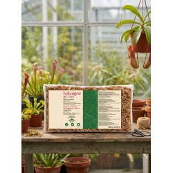Chilean Sphagnum Moss – 1 kg Bag-Matériel et substrat