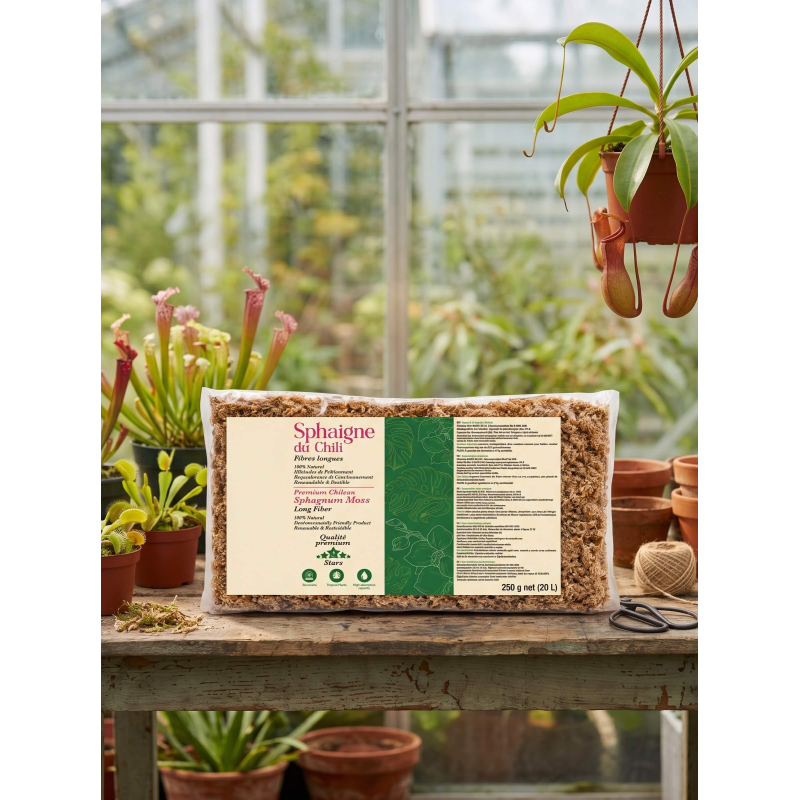 Sphaigne du Chili – Sac de 250 gr-Matériel et substrat