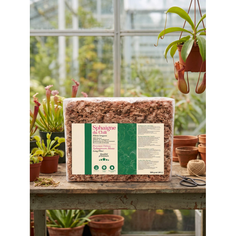 Sphaigne du Chili – Sac de 500 gr-Matériel et substrat