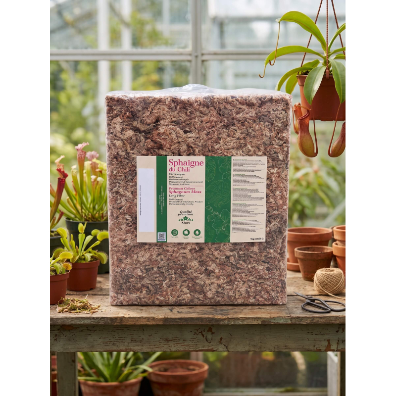 Sphaigne du Chili – Sac de 1 kg-Matériel et substrat
