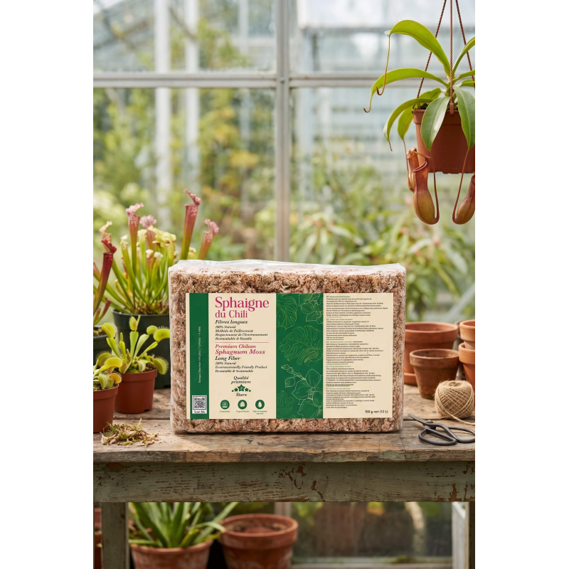 Sphaigne du Chili – Sac de 150 gr-Matériel et substrat