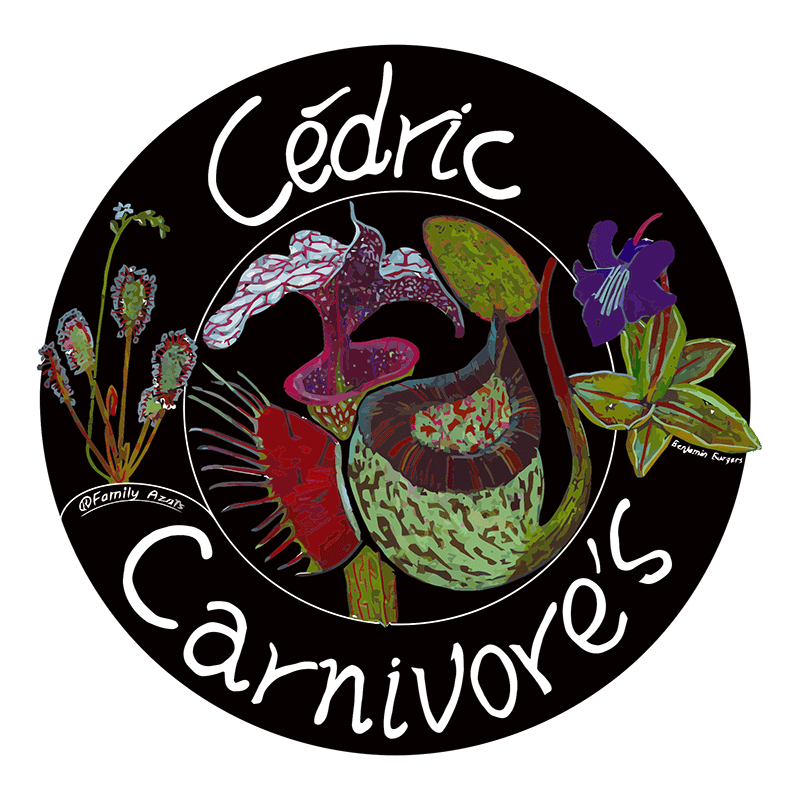 Cédric Carnivore's