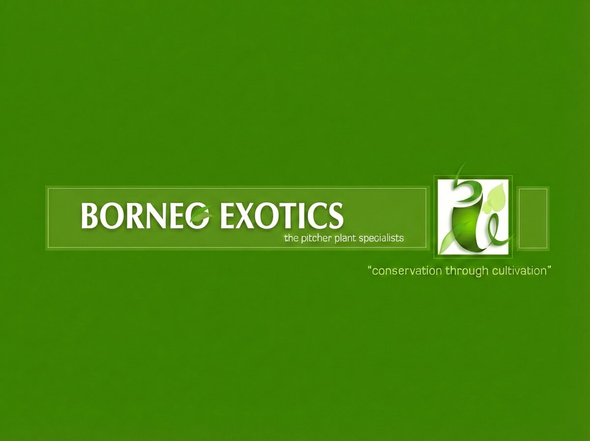 Borneo Exotics : Partenaire Officiel