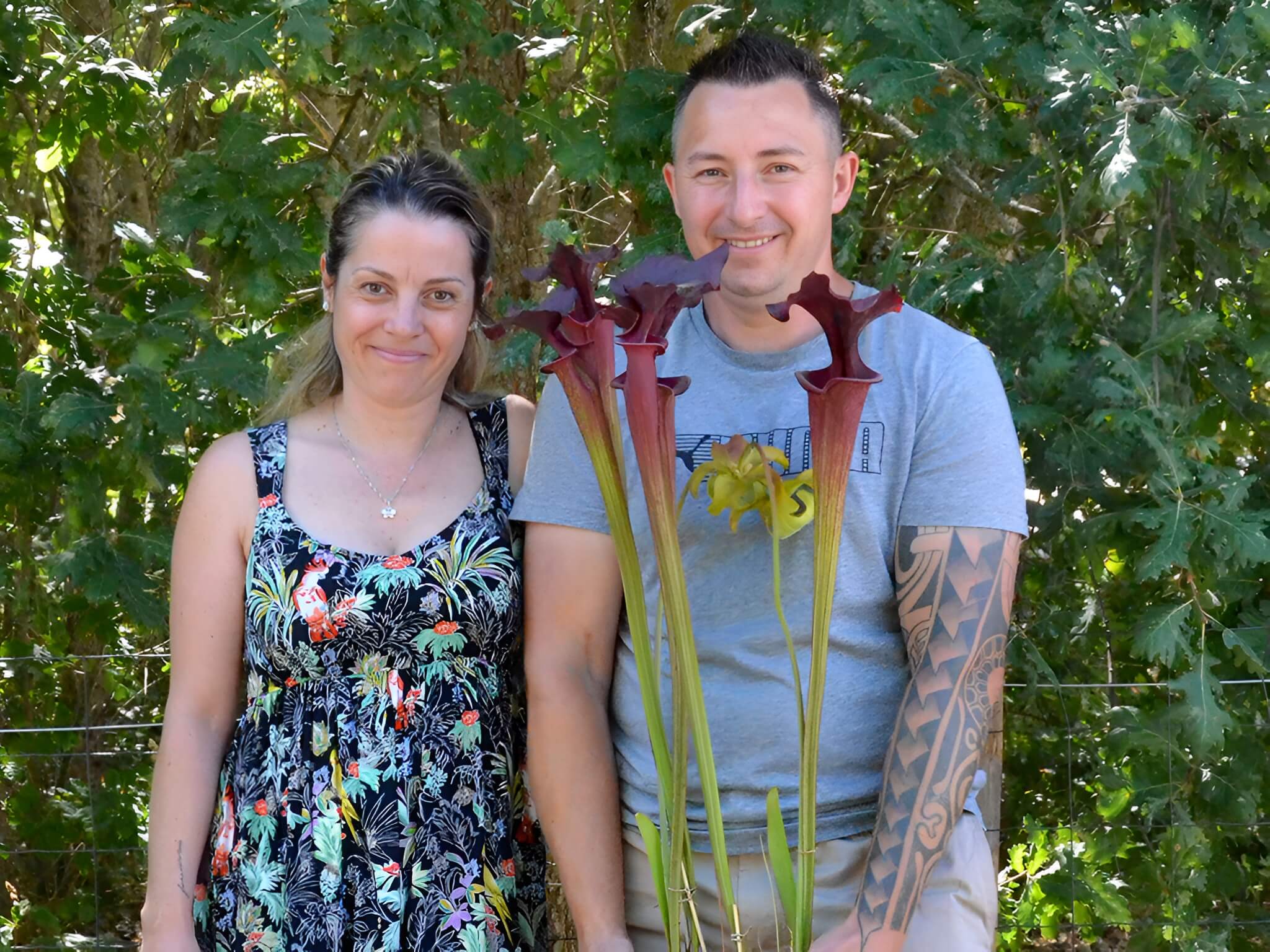 A propos de la pépinière