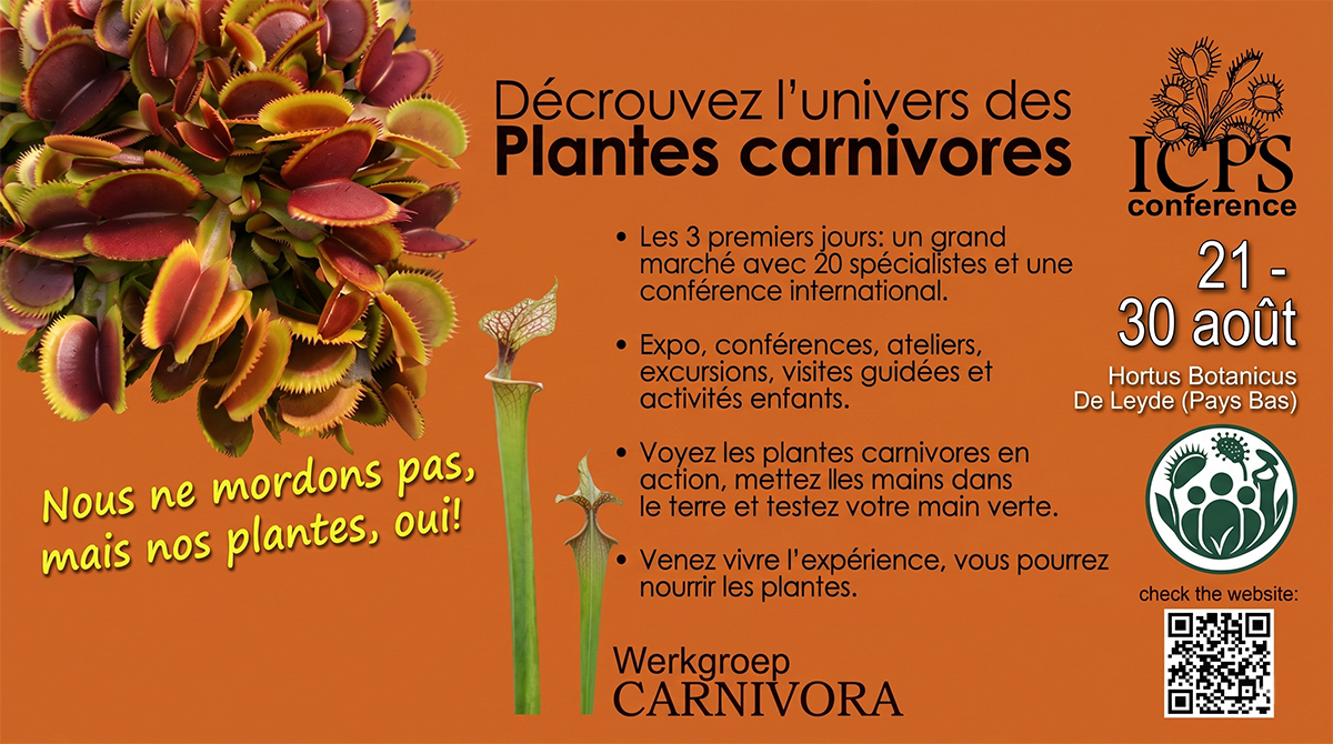 21 - 30 Août | Hortus Botanicus, Leyde (Pays-Bas)