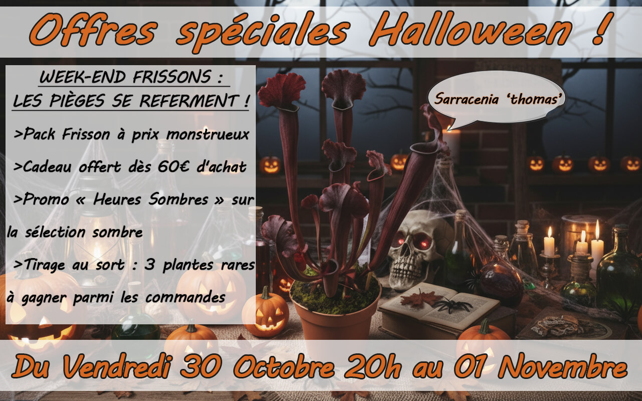 Rendez-vous vendredi 30 octobre à 20h00 pile !